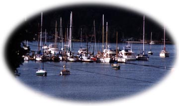 Inner Quartermaster Harbor from Edson House