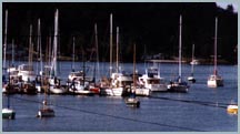 View of Quartermaster Harbor from Edson House